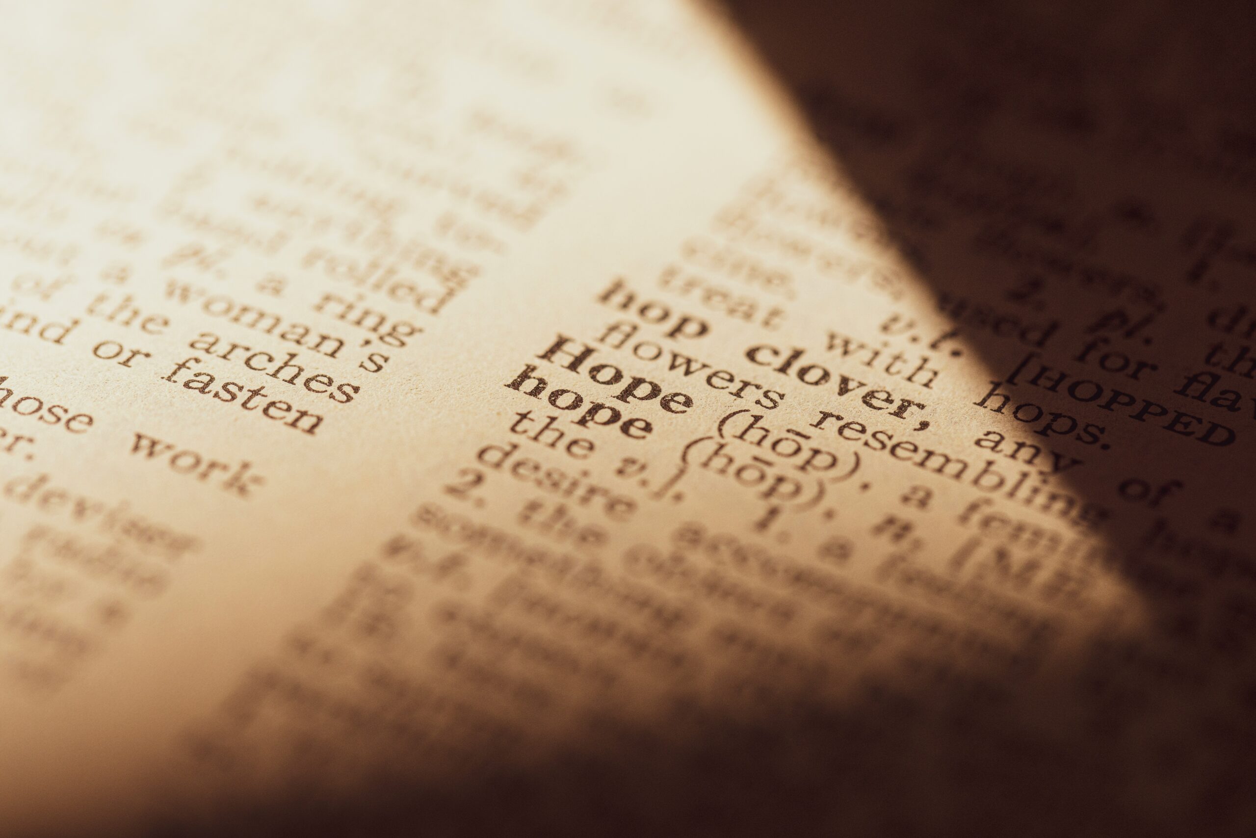 mick-haupt-OYOhow9JbQ4-unsplash